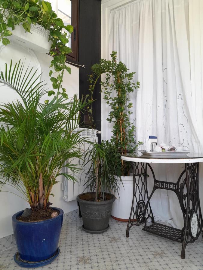 B&B Lido Liberty Lido di Ostia Kültér fotó
