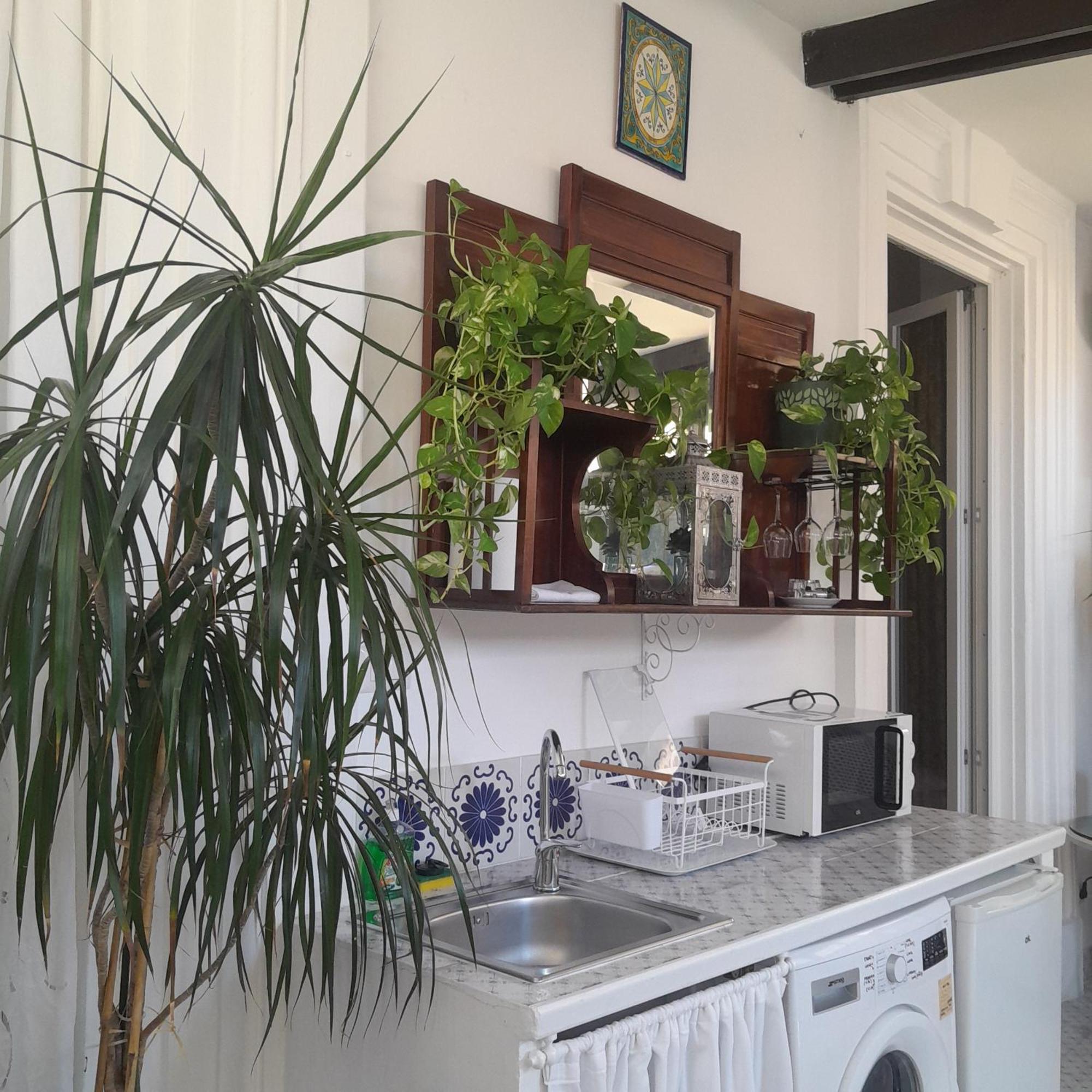 B&B Lido Liberty Lido di Ostia Kültér fotó